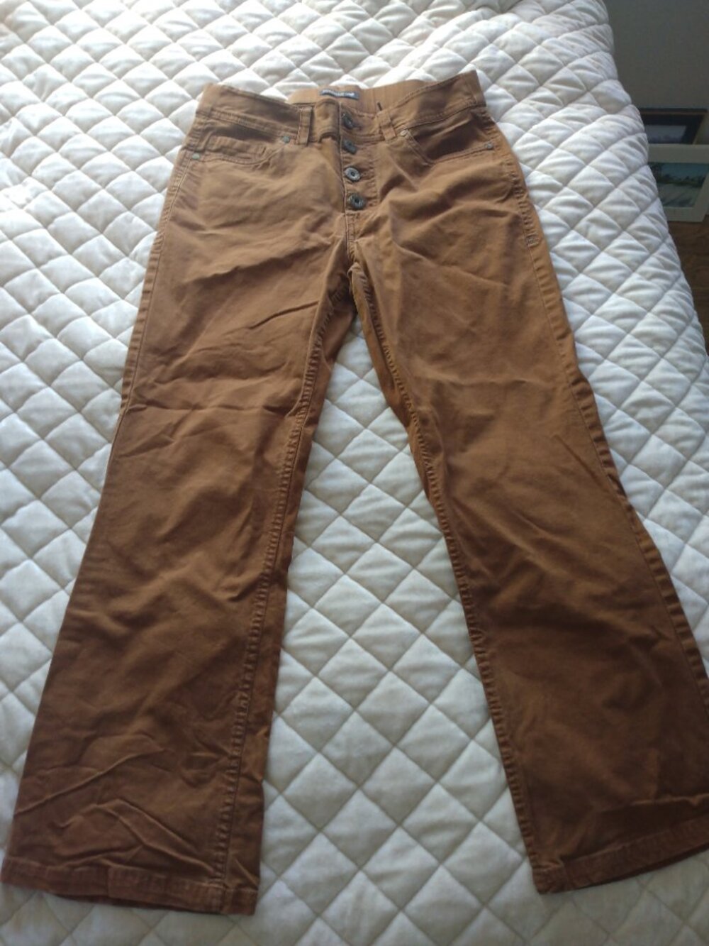 Toad&co women's button fly earthworks pants